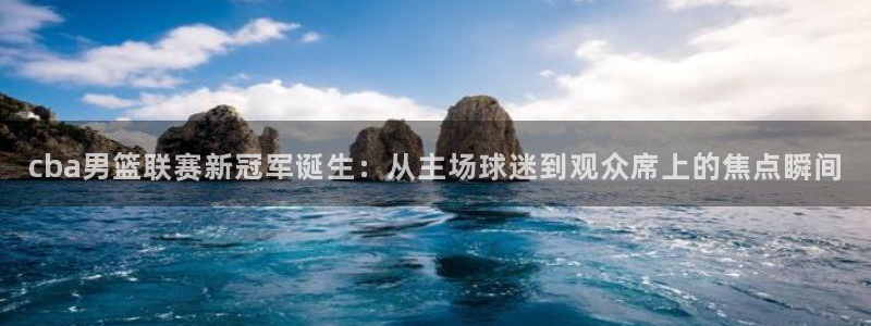  cba男篮联赛新冠军诞生：从主场球迷到观众席上的焦点瞬间