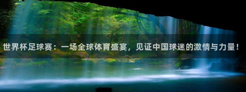  世界杯足球赛：一场全球体育盛宴，见证中国球迷的激情与力量！