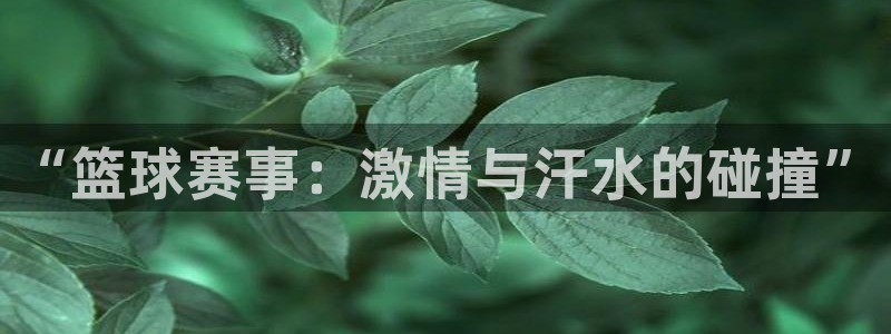 江南jn体育官方网：“篮球赛事：激情与汗水的碰撞”