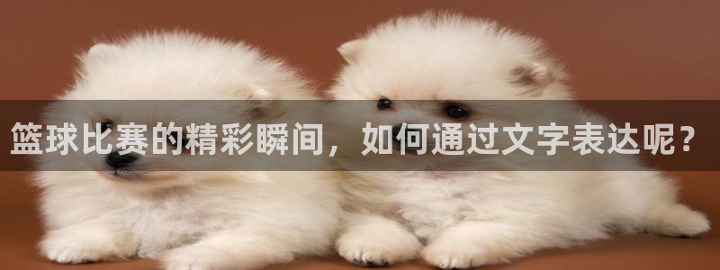  jn江南·体育官网：篮球比赛的精彩瞬间，如何通过文字表达呢？