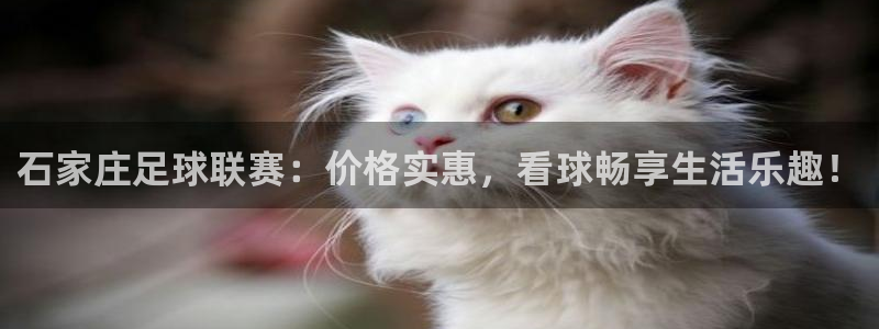 jn江南·体育登录入口：石家庄足球联赛：价格实惠，看球畅享生