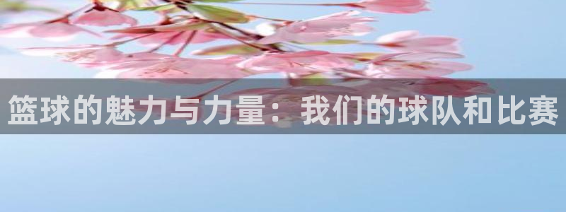 江南jn体育：篮球的魅力与力量：我们的球队和比赛