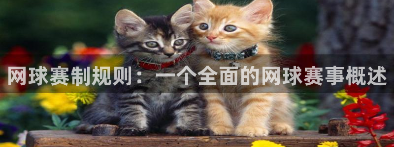  jn江南·体育最新官网入口：网球赛制规则：一个全面的网球赛事
