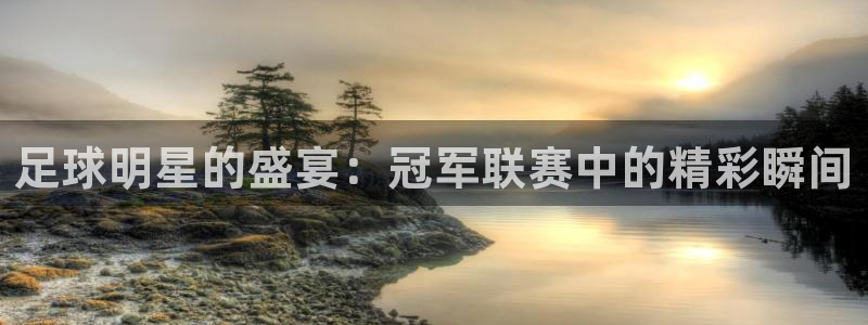 江南jn体育官网：足球明星的盛宴：冠军联赛中的精彩瞬间