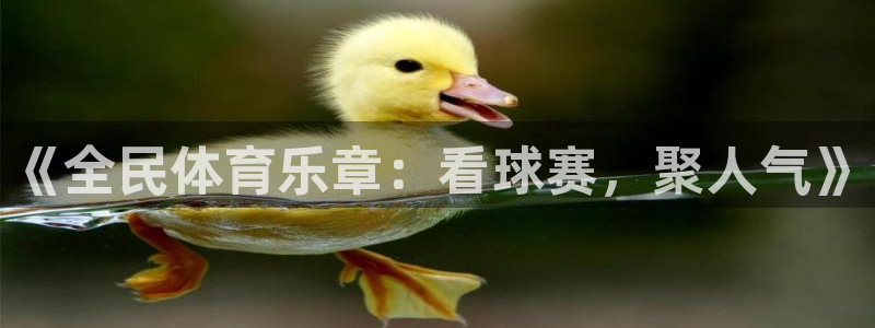 江南jn体育官方网站：《全民体育乐章：看球赛，聚人气》