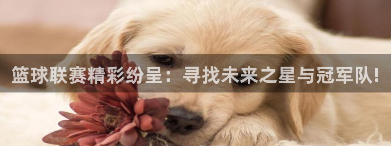  江南jn体育：篮球联赛精彩纷呈：寻找未来之星与冠军队!