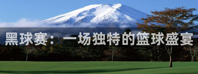  江南JN体育APP最新版本更新内容：黑球赛：一场独特的篮球盛