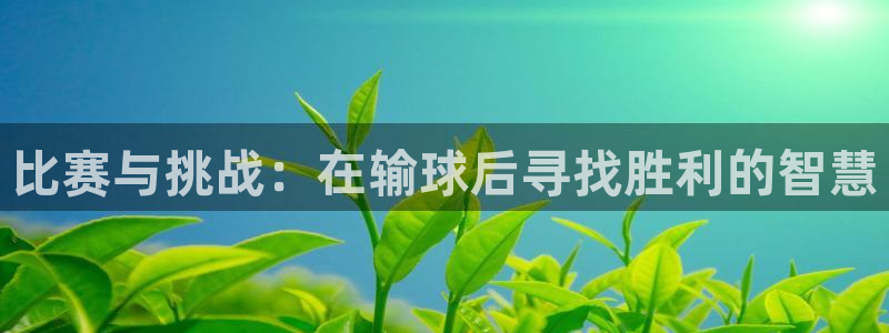 江南JN体育APP最新版本更新内容：比赛与挑战：在输球后寻找