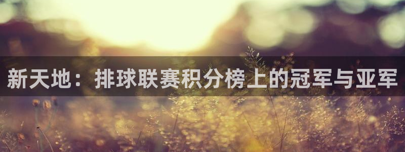  江南jn体育网页版：新天地：排球联赛积分榜上的冠军与亚军