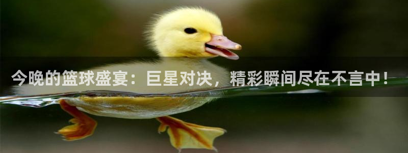 江南jn体育网页版：今晚的篮球盛宴：巨星对决，精彩瞬间尽在不