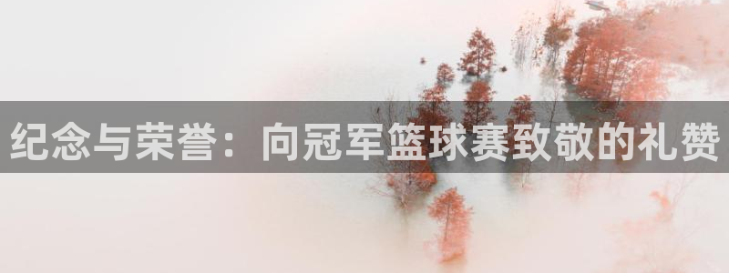  江南jn体育：纪念与荣誉：向冠军篮球赛致敬的礼赞