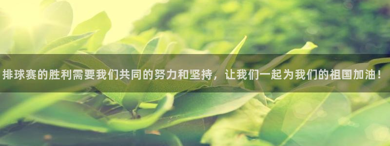  jn江南·体育官网：排球赛的胜利需要我们共同的努力和坚持，让