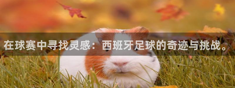 jn江南·体育网页版：在球赛中寻找灵感：西班牙足球的奇迹与挑