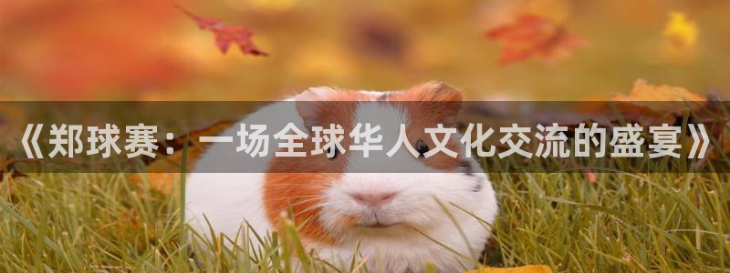  jn江南·体育登录入口：《郑球赛：一场全球华人文化交流的盛宴